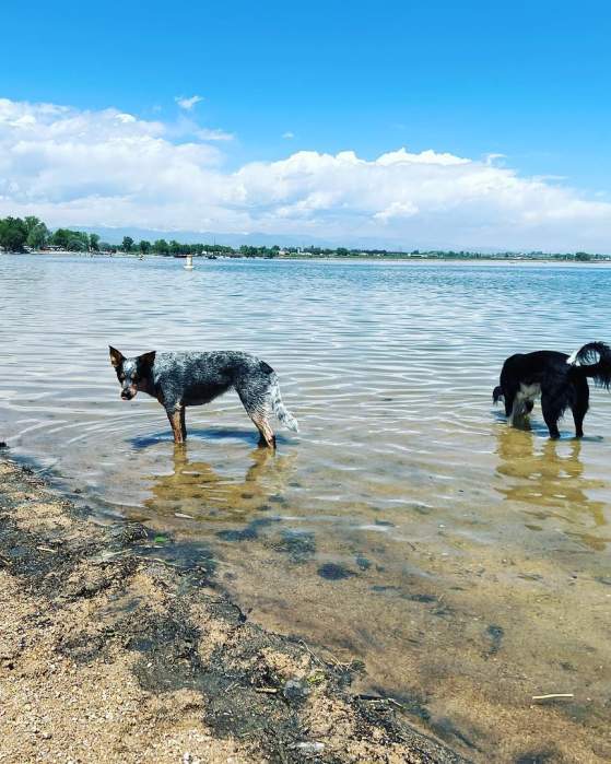 Explore Longmont’s Hidden Gems: Unique Trip Ideas for Adventurers