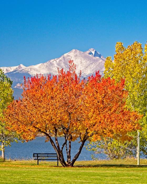 10 Fun Things to Do in Longmont This Fall