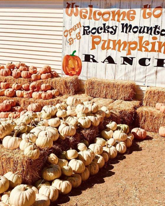 Pumpkin Based Activities in October