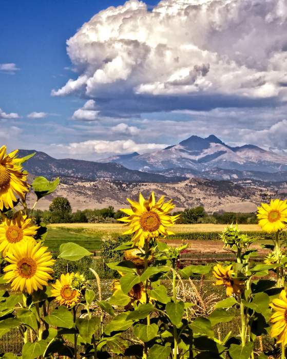 A Long Weekend of Summer in Longmont: The Place with Space