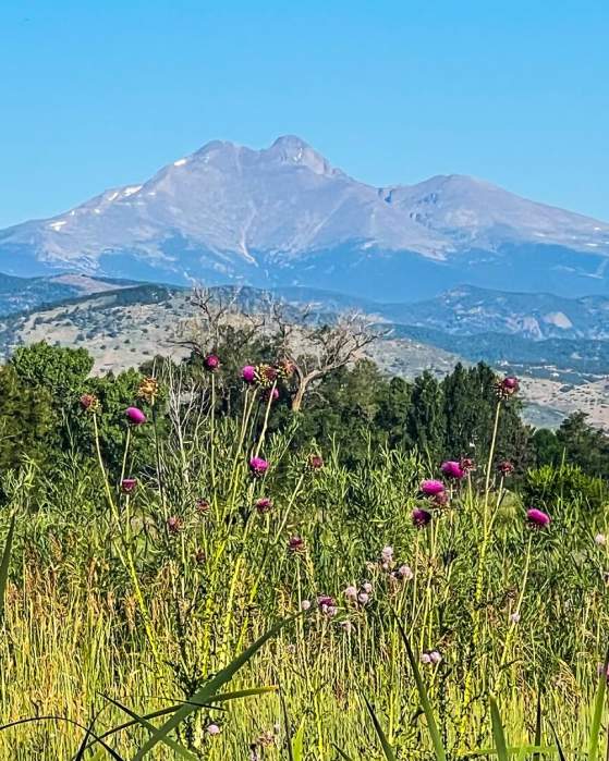 Longmont in March: Space for Every Spring Adventure