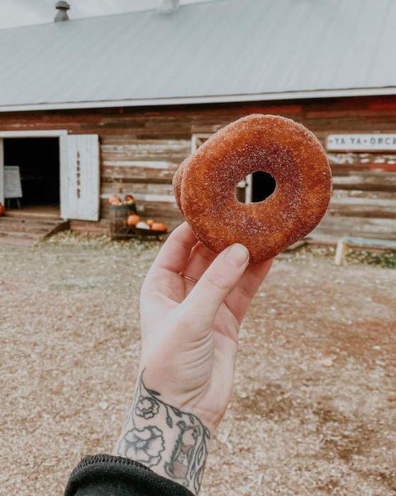 A Local’s Guide to Fall Food & Drinks in Longmont