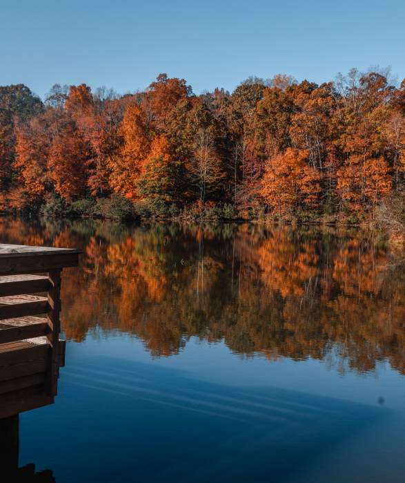 Top Spots for Fall Foliage in York County, South Carolina