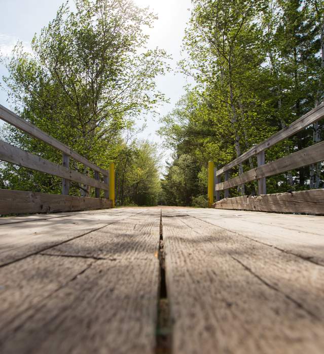 Trail