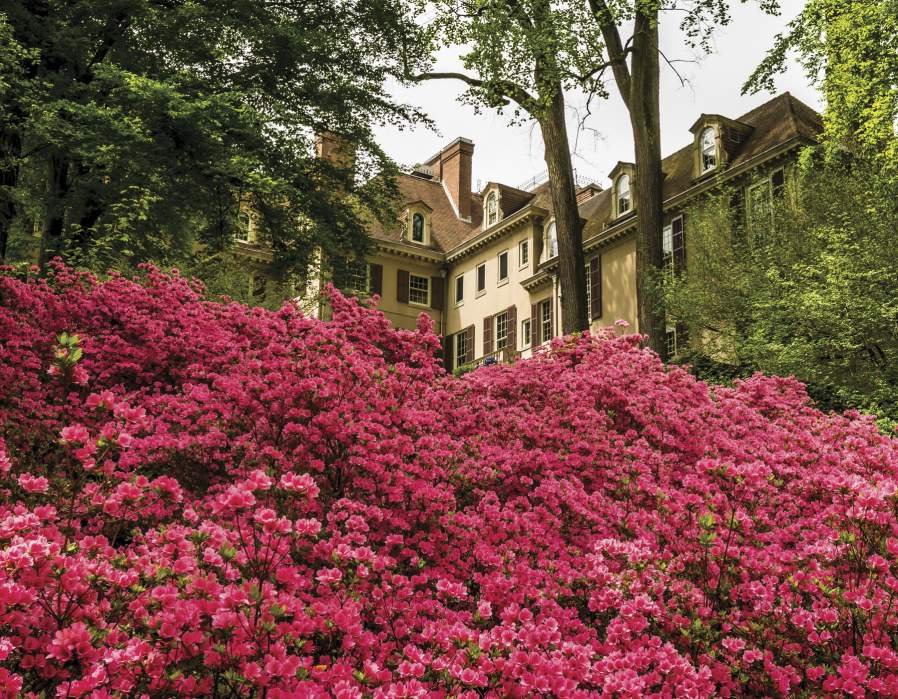 Winterthur Museum, Garden & Library