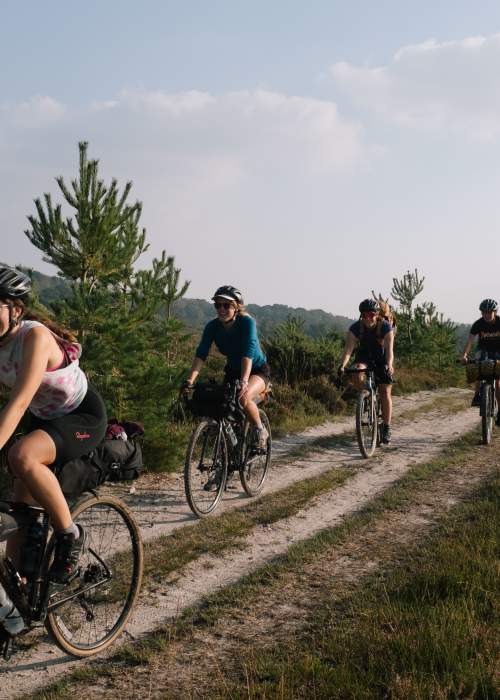 The New Forest Off Road Club - Group Cycling