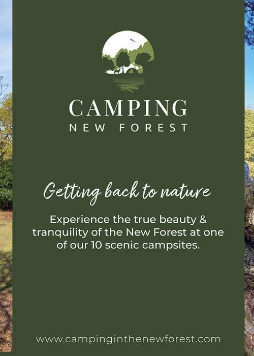 New Forest Camping Caravan Parks The New Forest
