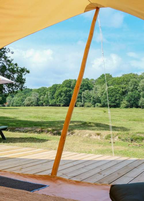 Camping New Forest - View from Glamping tent in the Summer