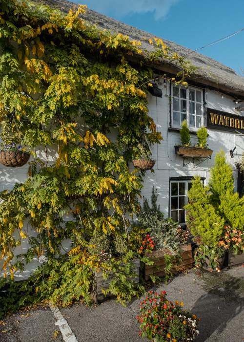Pubs autumn collection