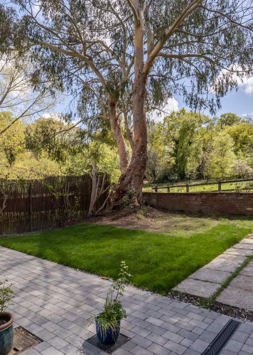 Win a stay at Horseshoe Cottage in the New Forest