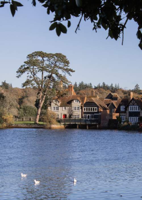 Beaulieu across the Millpond in the New Forest