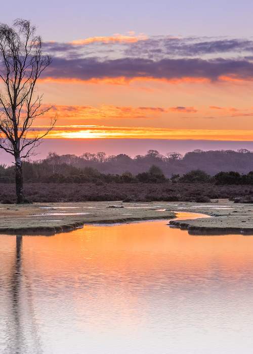 Sunset across winter water in the New Forest - Walking
