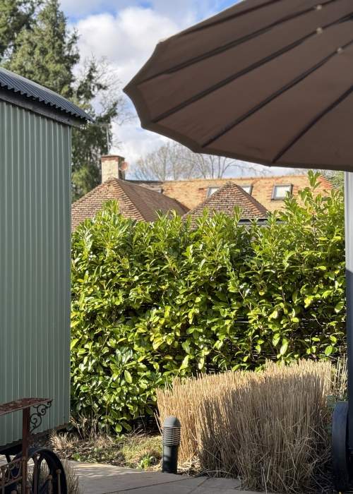 Garden of Whistlestop - New Forest Escapes