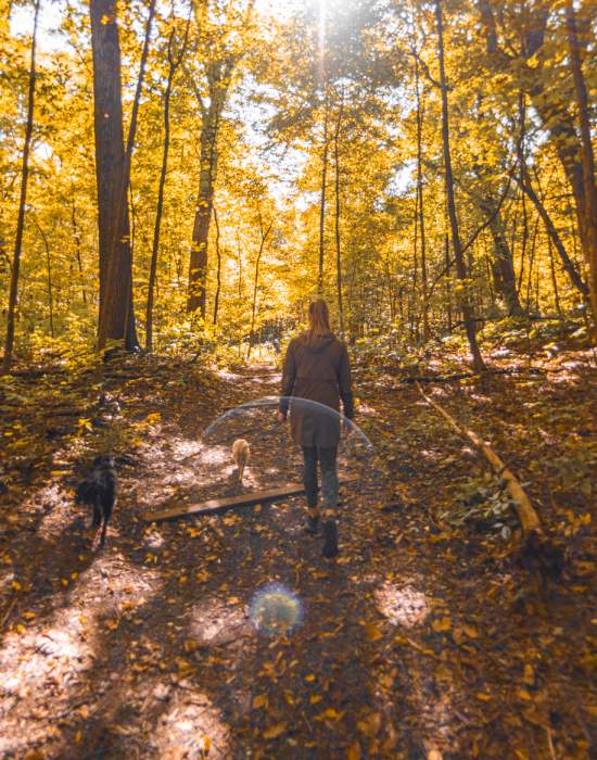 A visitor walks her dogs on a trail at Rum Village Nature Preserve