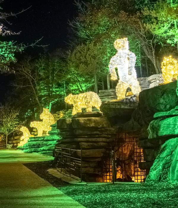 Drive-Through Christmas Lights in Branson