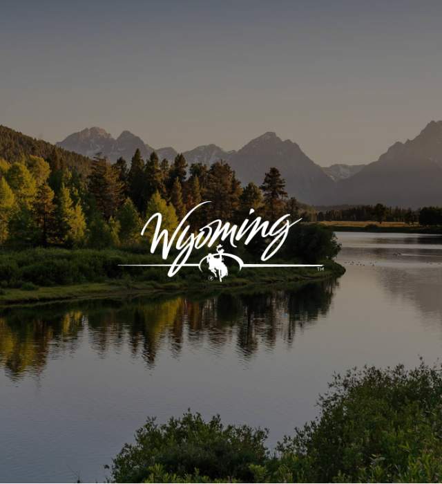 Dynamic Visualizations show tourism’s impact on your communit