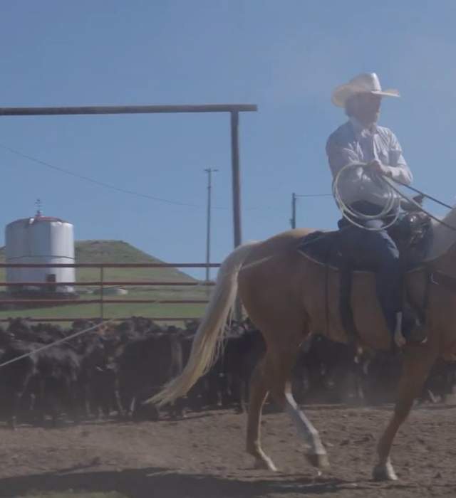 Chancey Williams: From Ranch to Stage