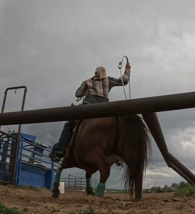 Willow Wilson: Blazing Trails in Rodeo
