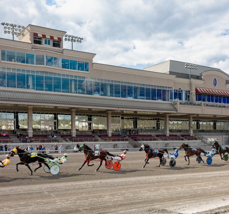 Horse racing stream reddit best sale