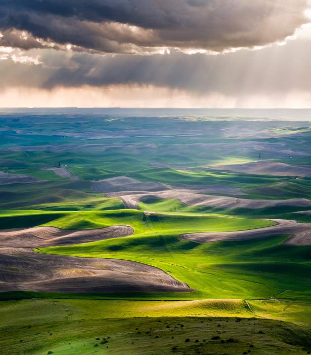 Palouse Hills