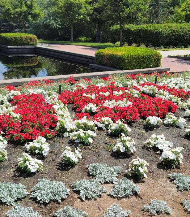 Lawson Gardens
