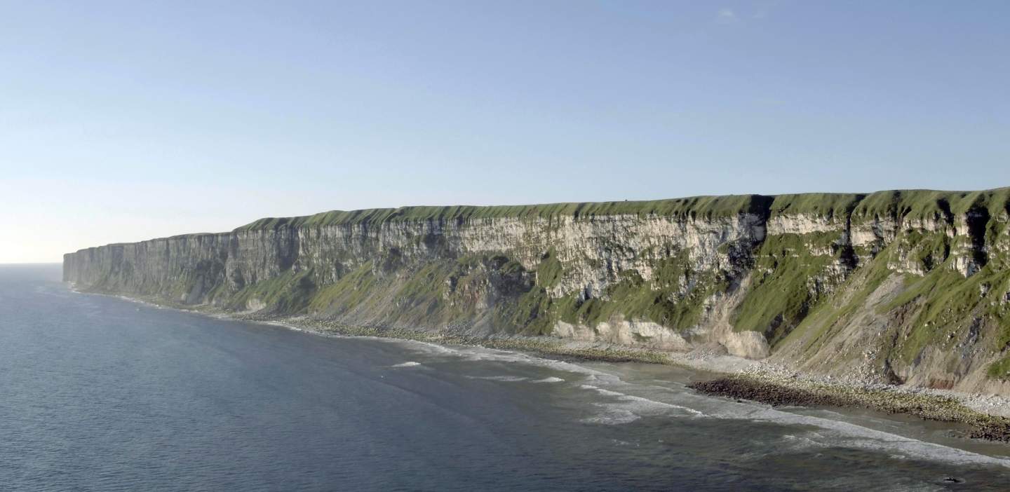 An image of Bempton Cliffs
