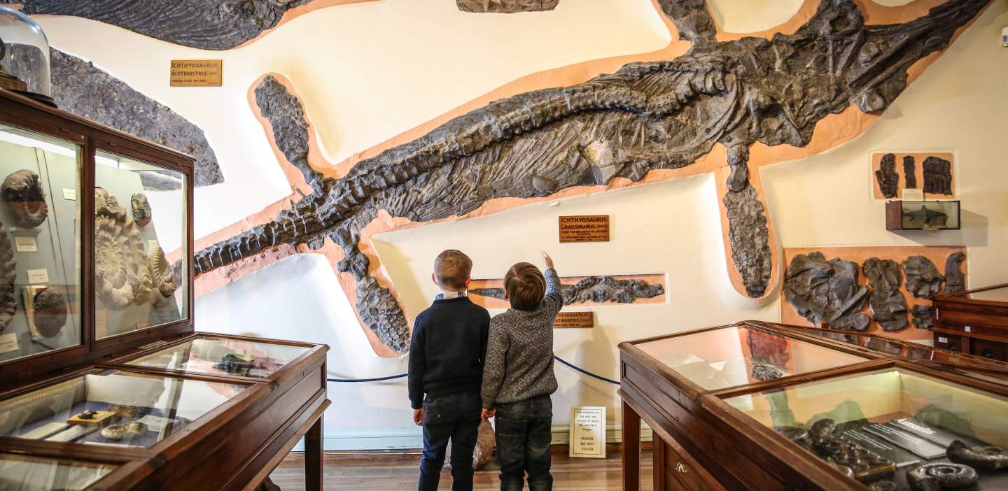 An image of two children looking at fossils in Whitby Museum