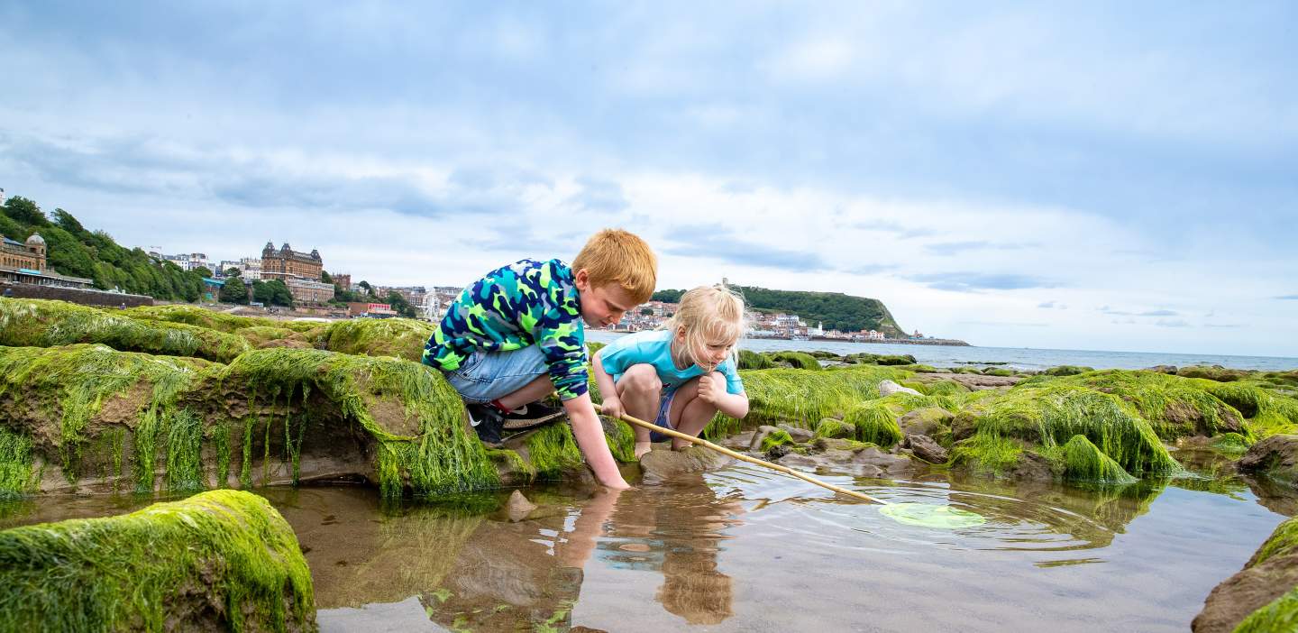 An image of children in rock pools at South bay Scarborough