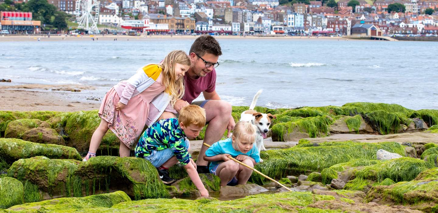 An image of a Family Rockpooling in Scarborough