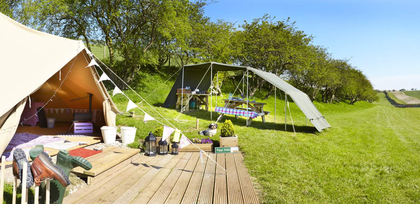 An image of a glamping tent