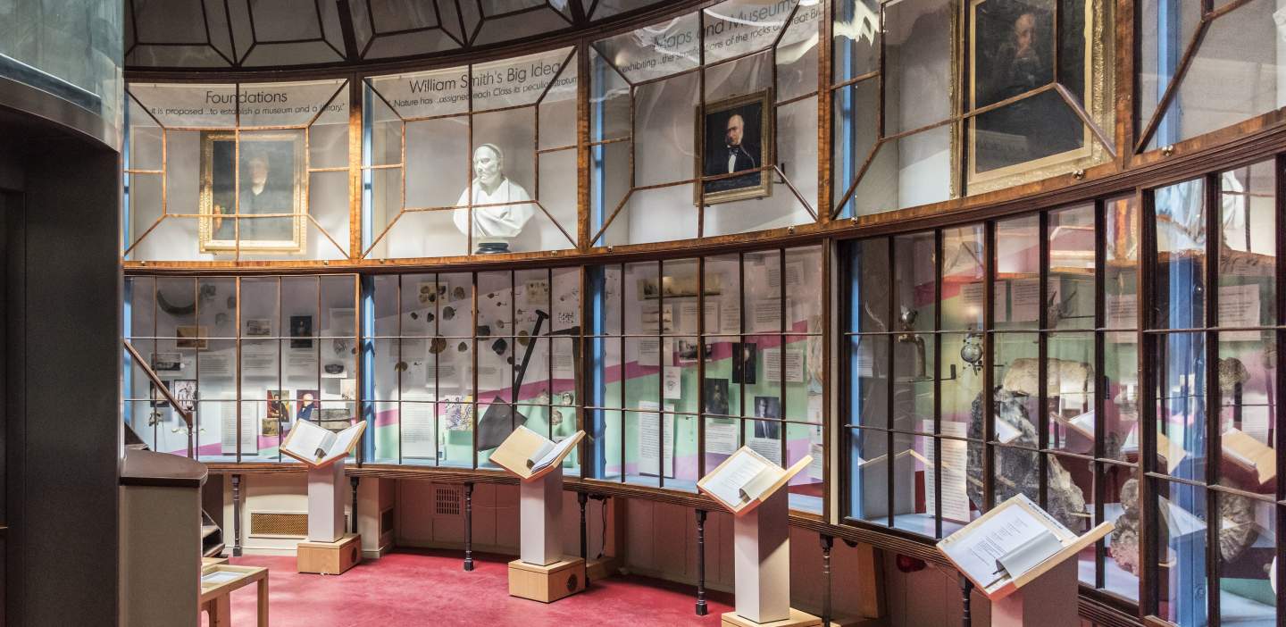 inside the rotunda museum, busts and plinths set against the windows bursting with history