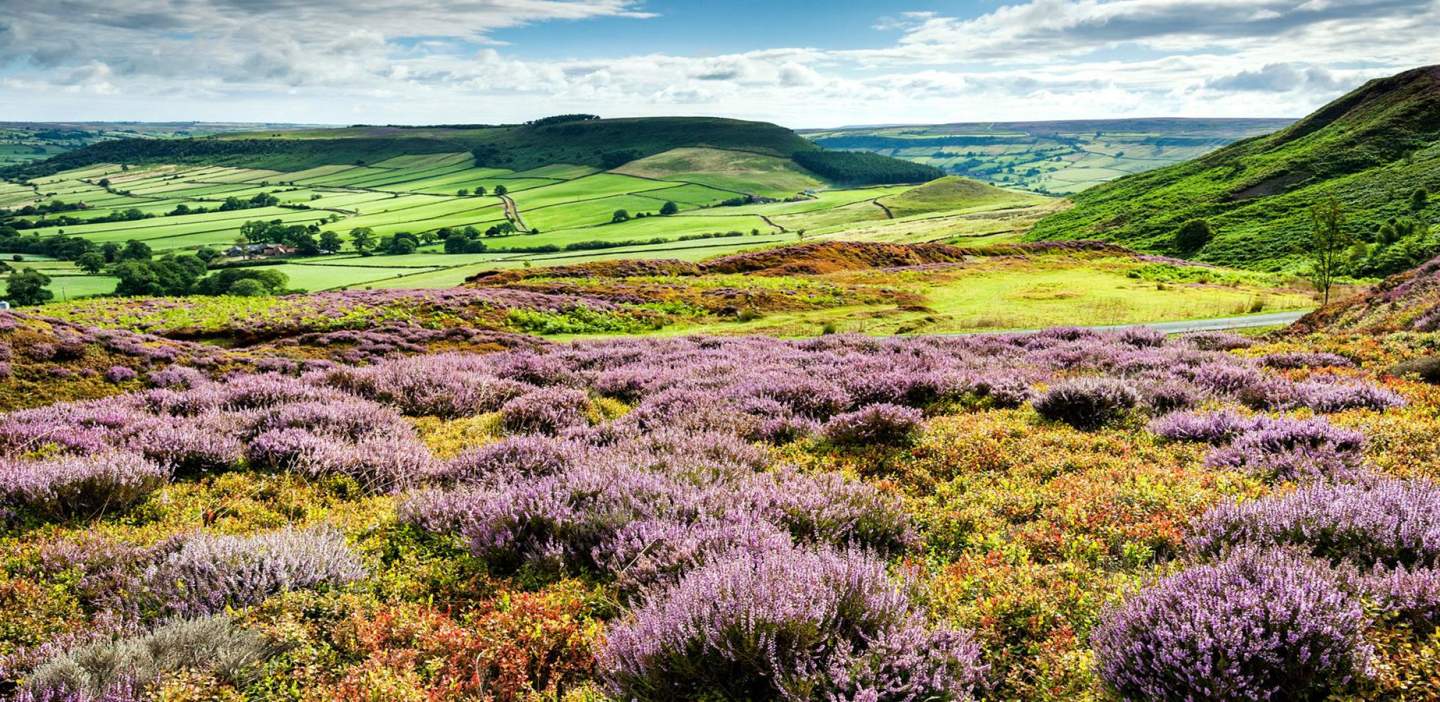 The North York Moors Cycle Routes North York Moors Yorkshire Velvet The North York Moors Cycle Routes North York Moors Yorkshire Velvet