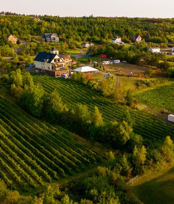 Magnetic Hill Winery