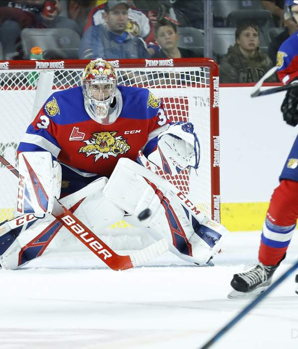 Moncton Wildcats