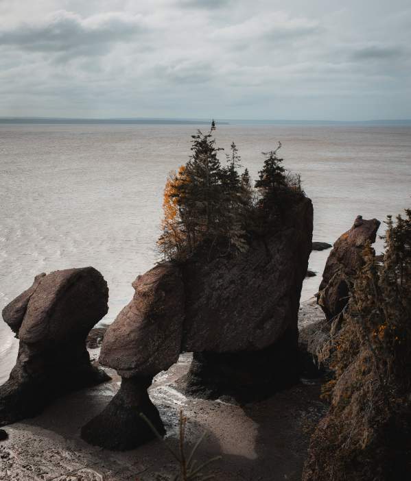 Hopewell rocks
