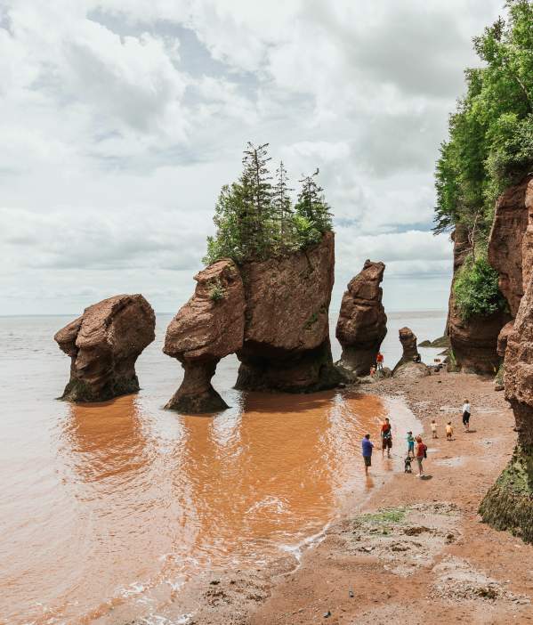 Le parc provincial des Rochers Hopewell