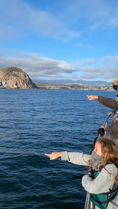 People pointing while whale watching in Morro Bay