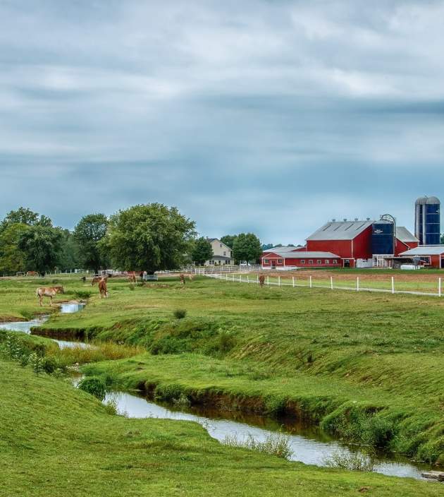 farm