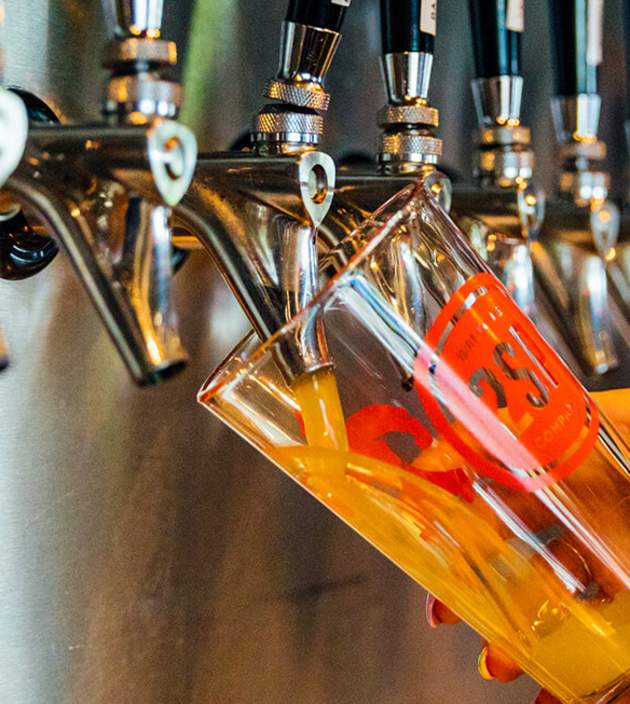 Beer