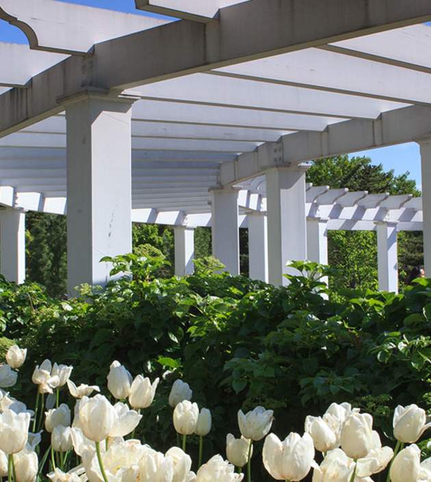 Gardens Arboretums