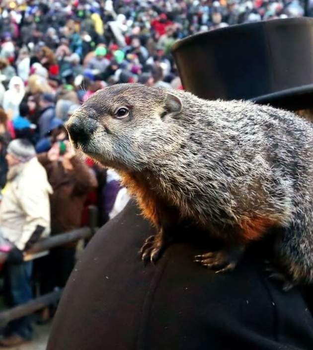 Groundhog Day History