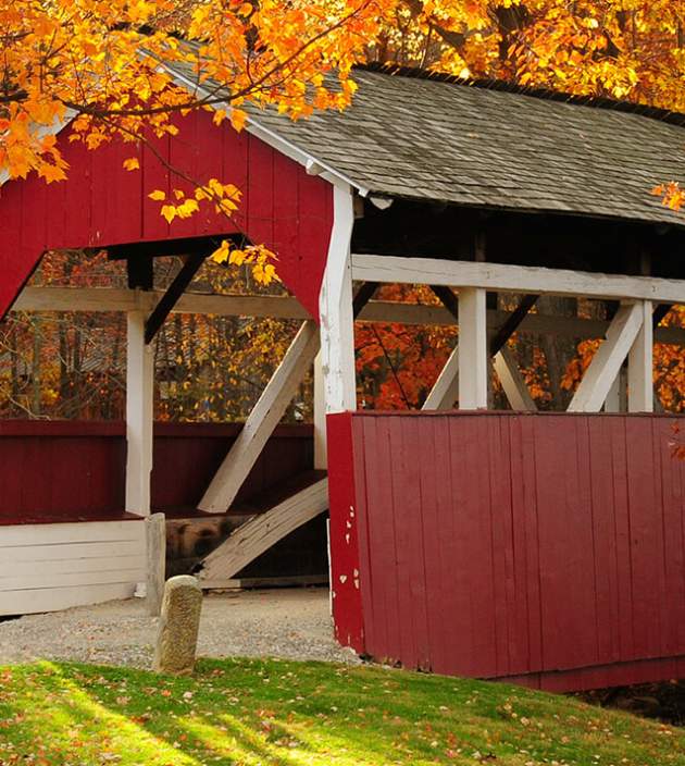 Leaf Peepers Laurel Highland