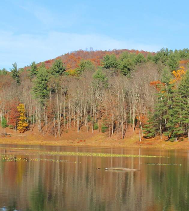 Leaf Peepers PA Wilds