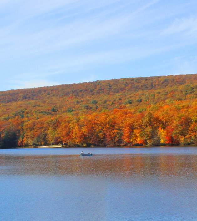 Leaf Peepers Upstate