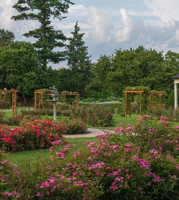 Rose Garden