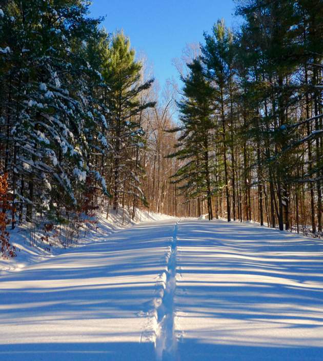 Winter Hikes in PA