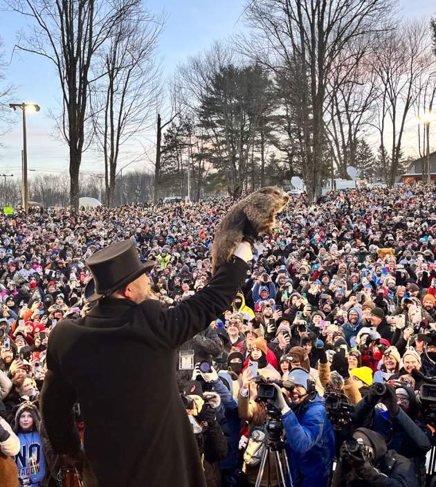 How to Celebrate Groundhog Day