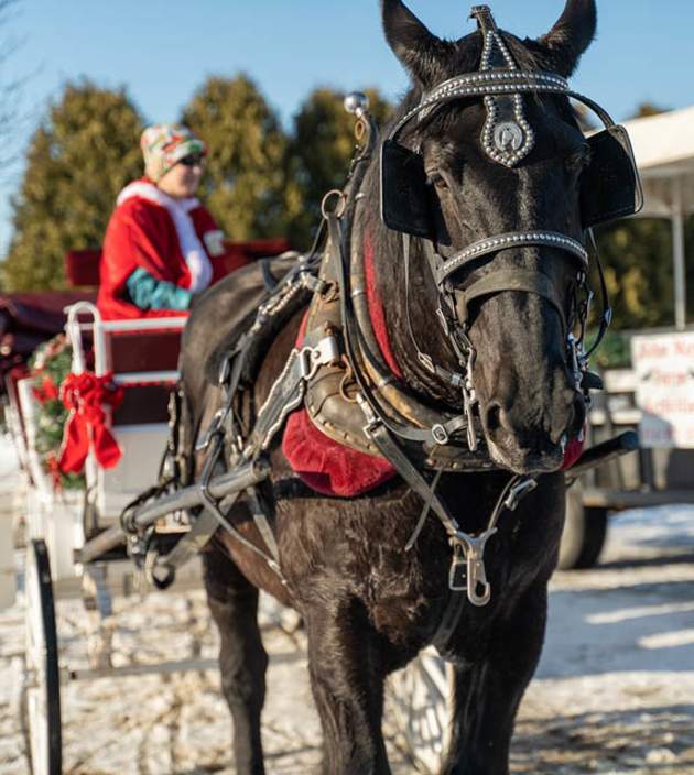 Must-Attend Holiday Events and Festivals in Pennsylvania