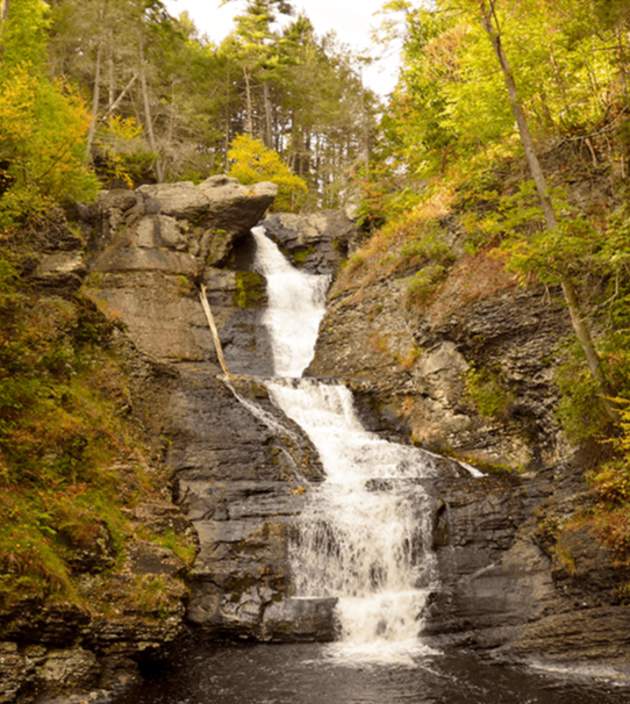 Delaware state forest