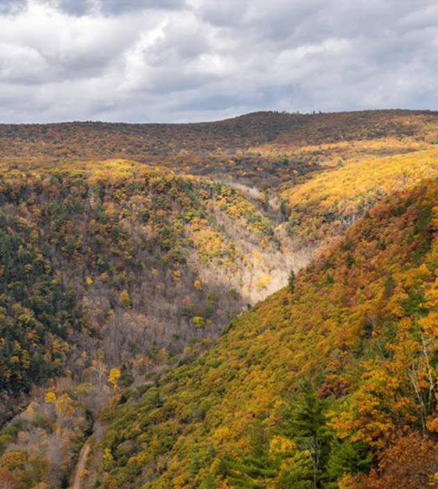 pine creek gorge